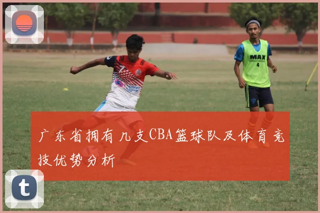 广东省拥有几支CBA篮球队及体育竞技优势分析