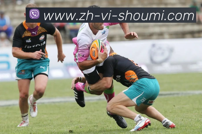 收米体育直播平台生态图